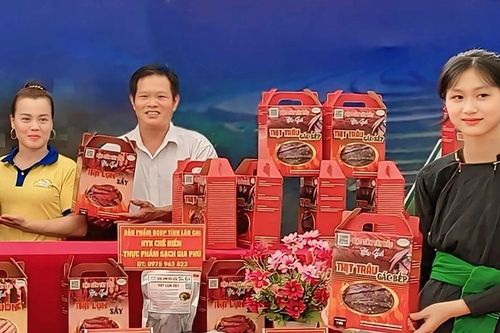 Lào Cai có 1 sản phẩm được trao giải thưởng Mai An Tiêm