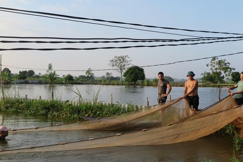 Bổ sung vốn điều lệ cho một số quỹ tài chính Nhà nước ngoài ngân sách và hỗ trợ việc làm