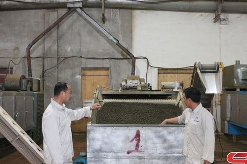 Thuận Châu sẵn sàng nguồn hàng cung ứng thị trường Tết