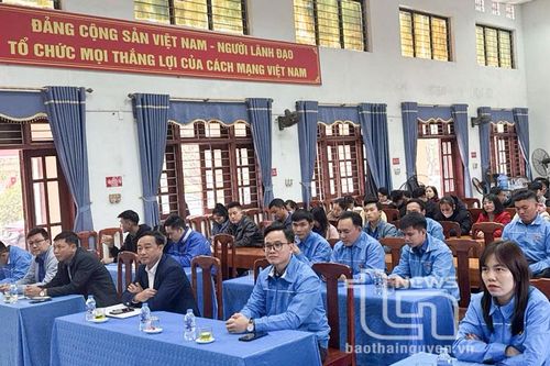 Nhân rộng các mô hình điểm nâng cao chất lượng môi trường nông thôn