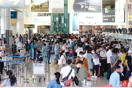 Sốt vé máy bay, xe khách 'dễ thở' dịp Tết Nguyên đán Ất Tỵ 2025