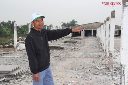 Nông dân, HTX nỗ lực tái đàn vật nuôi ở 'kinh đô gà'