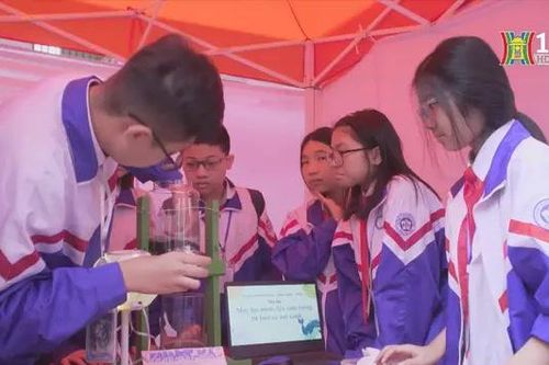 STEM: Sân chơi trí tuệ sáng tạo cho học sinh THCS