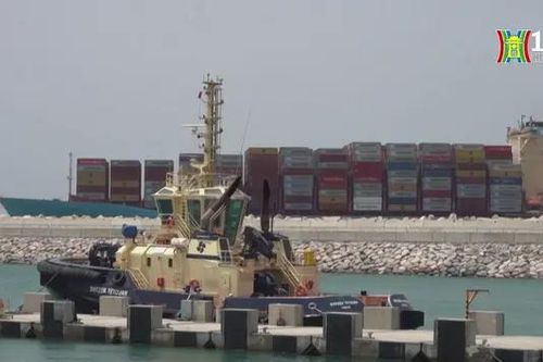 Hoạt động vận chuyển container toàn cầu sẽ tăng mạnh