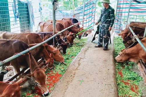 Đồng hành cùng hội viên, nông dân phát triển kinh tế