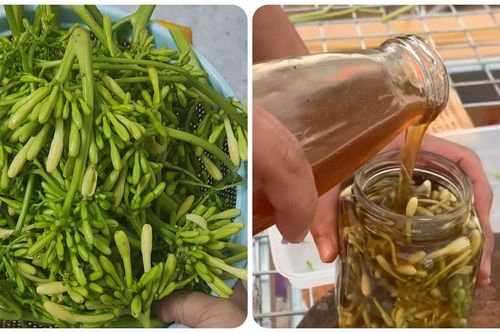 Hoa đu đủ đực ngâm mật ong trị bệnh gì?
