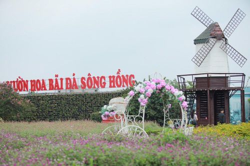 Lạc bước giữa vườn hoa bãi đá sông Hồng