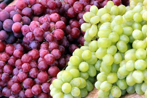 Cách phân biệt nho ta và nho Trung Quốc