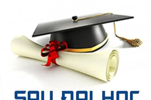 Lấp lỗ hổng đào tạo sau đại học