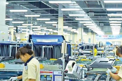 Nhiều cơ hội việc làm từ kinh tế xanh