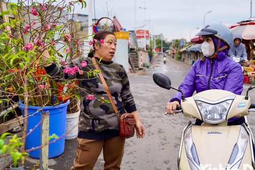 Người dân Thủ đô thích thú ngắm hoa đào xuống phố