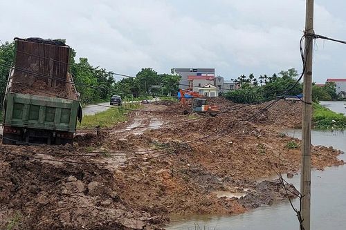 Hệ thống đê Tả Bùi – Hữu Đáy sẽ được cải tạo trong năm 2025