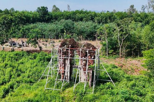 Quảng Nam phân bổ 5,16 tỷ đồng để 'cứu' di tích Phật viện Đồng Dương