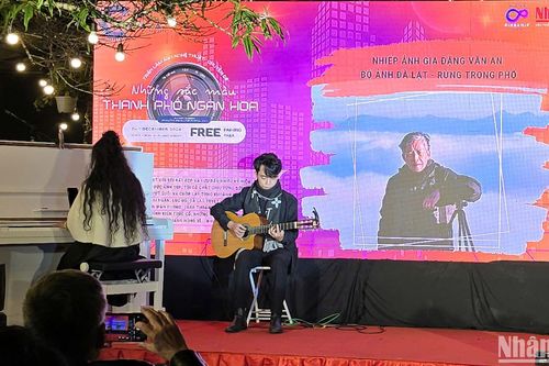 Nhiếp ảnh gia Đặng Văn An 'rong chơi' với 'Đà Lạt - rừng trong phố'