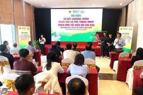 Canh tác cà-phê thông minh thích ứng với biến đổi khí hậu