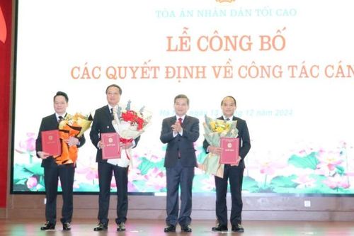 Trao quyết định bổ nhiệm Phó Chánh án Tòa án nhân dân tối cao
