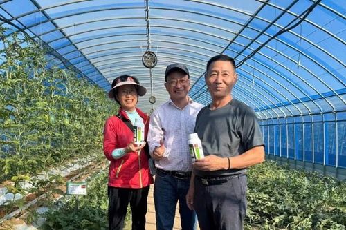 Chế phẩm sinh học từ vỏ quế diệt nấm bệnh