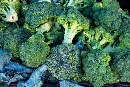 Những bất lợi sức khỏe nếu ăn quá nhiều súp lơ xanh