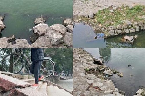 Vườn hoa hồ Giảng Võ xuống cấp, nhếch nhác giữa lòng Thủ Đô