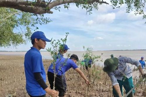 Bến Tre có nhiều mô hình ứng phó biến đổi khí hậu, bảo vệ môi trường