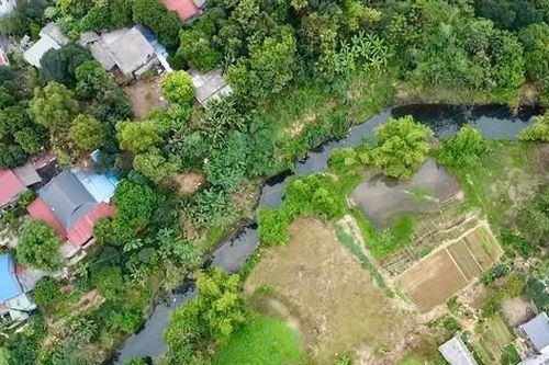 Suối Tân Long vì sao ô nhiễm?
