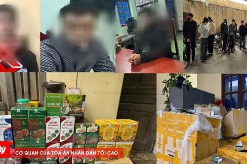 Lên mạng xã hội bán thuốc đông y lừa đảo hơn 3 nghìn người