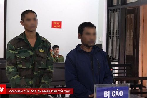 Mua súng đi săn, hai đối tượng lĩnh án
