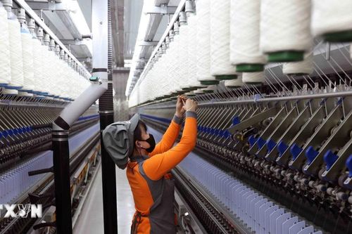 Tập trung bứt phá để đạt 15 chỉ tiêu năm 2024, tạo đà phát triển cho năm 2025