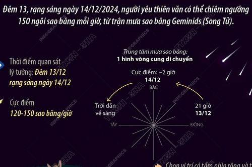 Geminids - 'ngôi vương' trong số các trận mưa sao băng năm 2024