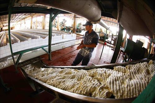 Binh đoàn 15 tích cực tham gia phát triển kinh tế