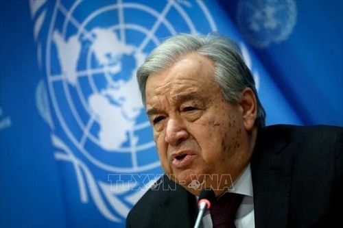 Liên hợp quốc kêu gọi các bên giảm leo thang bạo lực tại Syria