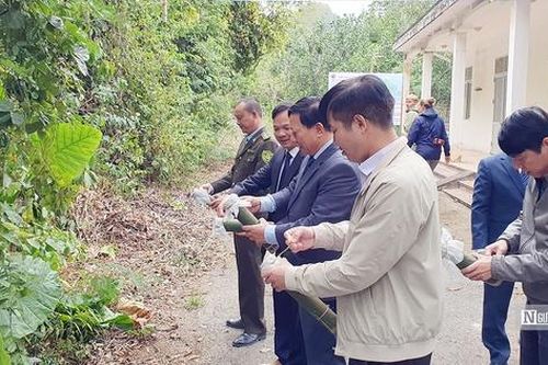 Vườn quốc gia Cát Bà thí điểm tái thả động vật hoang dã về tự nhiên
