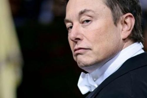 Công ty lại bị điều tra, Elon Musk đáp trả cứng rắn