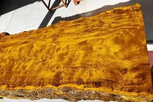 Cận cảnh cây gỗ Kim Tơ Nam Mộc được bán với giá gần 9.000 tỷ đồng, báu vật có '1-0-2' trên đời