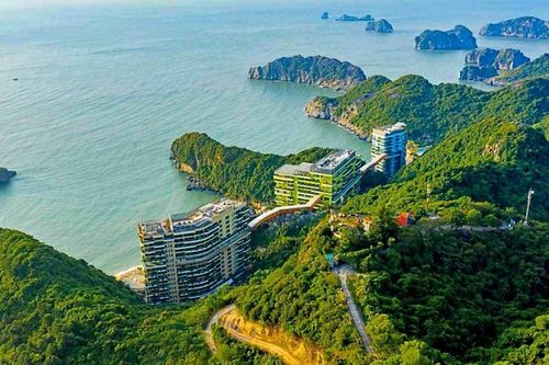 Vinaconex-ITC vay công ty mẹ 300 tỷ đồng để làm dự án Cát Bà Amatina