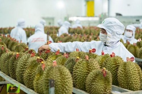 Chuyển đổi xanh phải thay đổi từ kế hoạch đến hành động