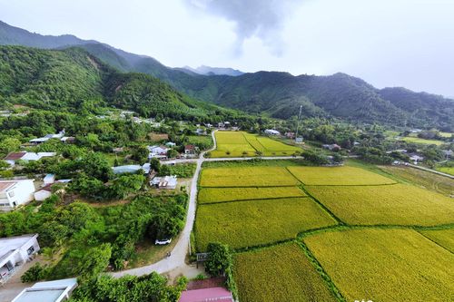Chuyển đổi 14 ha đất trồng lúa sang mục đích khác