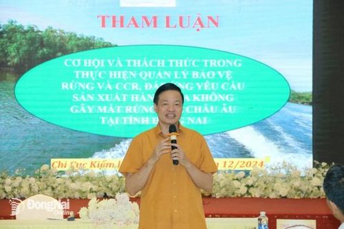Phát triển vùng nguyên liệu có chứng chỉ rừng và đáp ứng yêu cầu EUDR