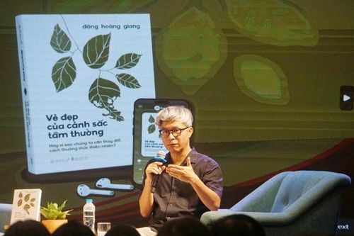 Vẻ đẹp của cảnh sắc tầm thường