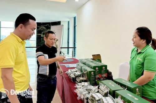 Độc đáo đặc sản nem xứ Thanh