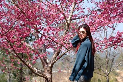Những điểm du lịch hot nhất dịp Tết năm nay