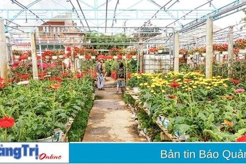Đông Hà phát triển nông nghiệp đô thị