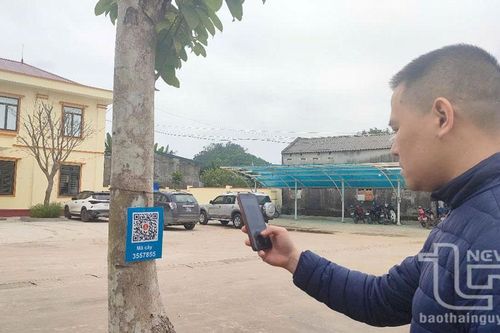 Phú Lương: Cập nhật trên 703.700 cây xanh lên phần mềm ThaiNguyen SmartTrees