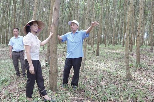 Diện mạo mới, sức sống mới