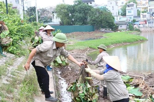 Đồng bộ giải pháp nâng cao chuỗi giá trị sản xuất nông nghiệp