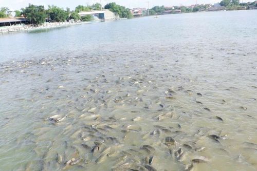 Đáp ứng nhu cầu vốn phát triển sản xuất của nông dân