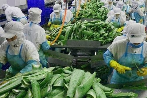 Đại sứ Vương quốc Anh cảm ơn Việt Nam hỗ trợ Anh gia nhập CPTPP