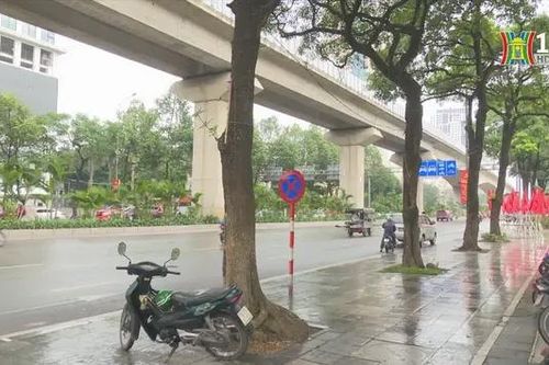Mẹo giữ ấm cơ thể hiệu quả trong thời tiết lạnh giá