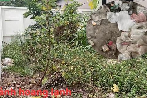 Cảnh hoang lạnh bên trong các căn biệt thự bị bỏ hoang lâu năm tại Hoài Đức