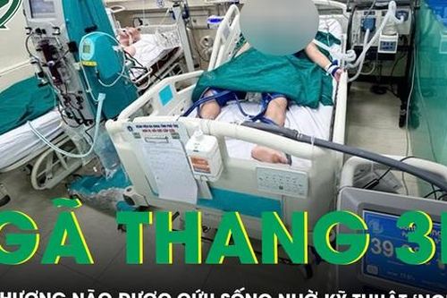 Ngã thang cao 3m, thanh niên chấn thương não được cứu sống nhờ kỹ thuật hạ thân nhiệt chỉ huy